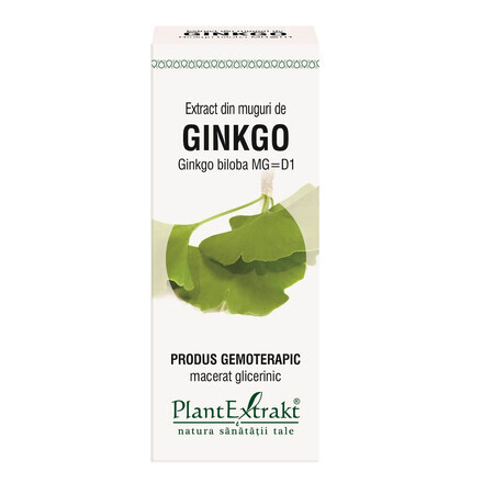 Ginkgo Biloba bud extract, 50 ml, Plant Extrakt