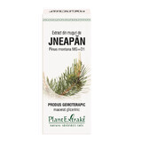 Jneapan knoppenextract. 50 ml, Plantenextract