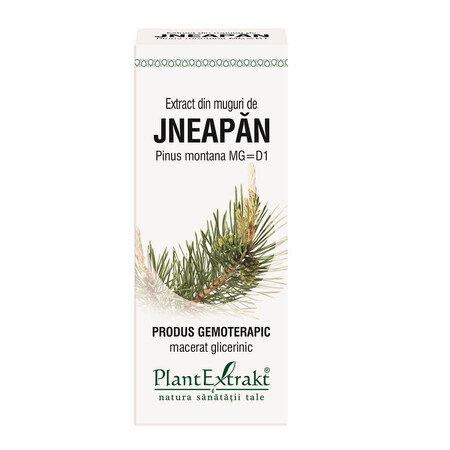 Jneapan bud extract. 50 ml, Plant Extract