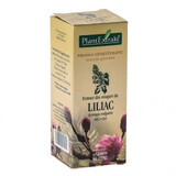 Extract din muguri de Liliac, 50 ml, Plant Extrakt