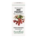 Extracto de brotes de grosella manzana, 50 ml, Plant Extrakt