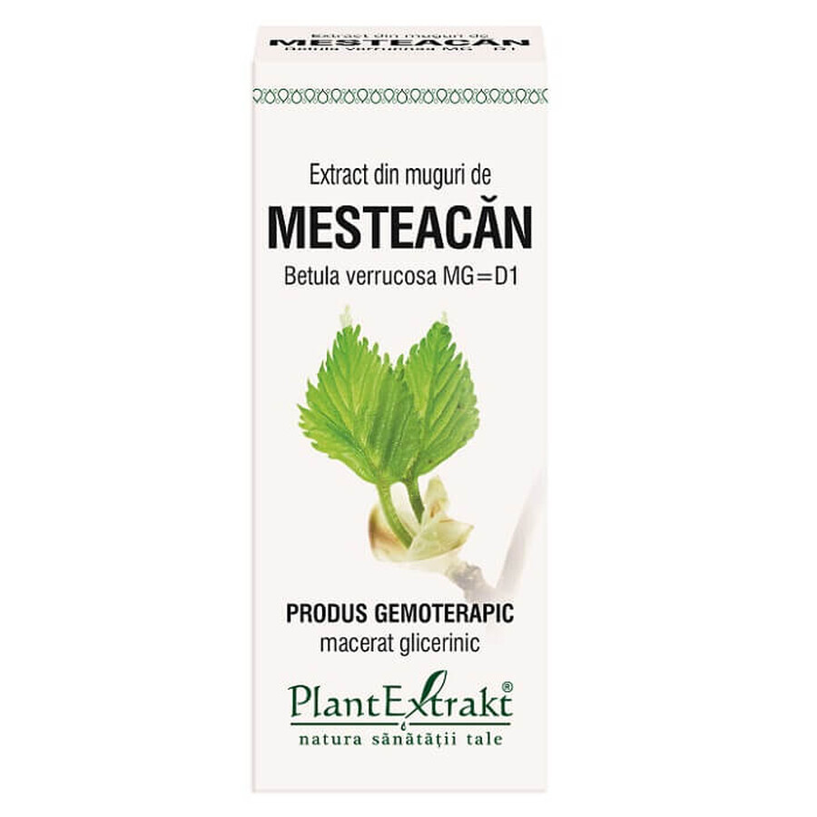 Extract din muguri de Mesteacăn Pufos, 50 ml, Plant Extrakt