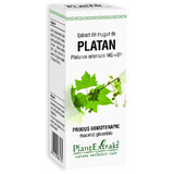 Extracto de yema de llantén, 50 ml, Plant Extrakt