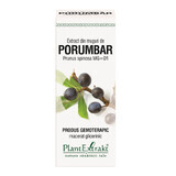 Extract din muguri de Porumbar, 50 ml, Plant Extrakt