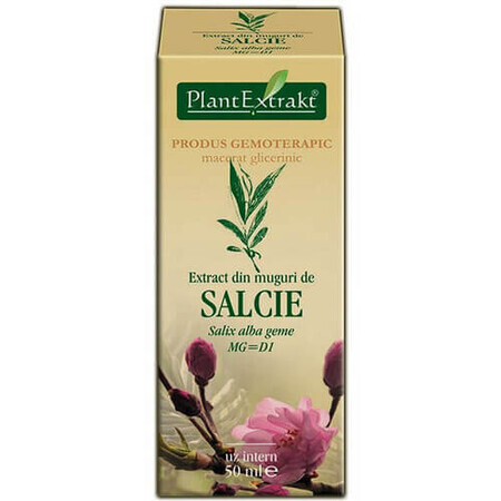 Extracto de yema de sauce, 50 ml, Plant Extrakt