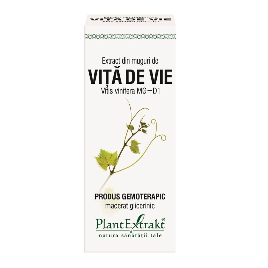 Extrait de bourgeon de vigne, 50 ml, Plant Extrakt