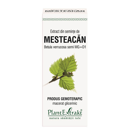 Estratto di semi di betulla, 50 ml, estratto vegetale