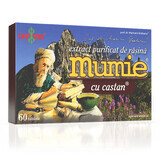 Extracto purificado de resina de Mumie con castaña, 60 comprimidos, Damar General Trading