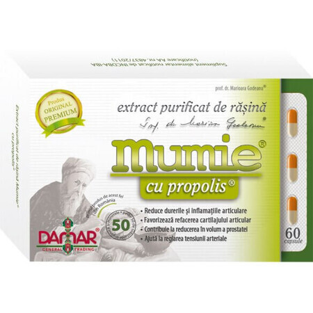 Estratto di resina purificata Mumia con propoli, 60 capsule, Damar General Trading