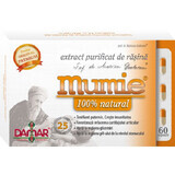 Extracto purificado de resina de Mumie, 60 cápsulas, Damar General Trading