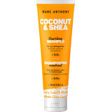 Marc Anthony Coconut & Shea repairing shampoo, 250 ml