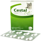 Antiparasitario interno para gatos Chestal Cat Chew, 8 comprimidos masticables, Ceva Sante