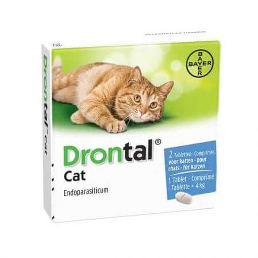 Drontal Cat Internes Antiparasitikum für Katzen, 2 Tabletten, Bayer Vet