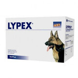 Suplemento coadyuvante contra el síndrome de malabsorción en perros y gatos Lypex, 60 cápsulas, VetPlus