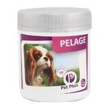 Suplemento vitamínico para la protección de la piel y la salud del pelaje en perros Pet Phos Canin Special Pelage, 50 comprimidos, Ceva Sante