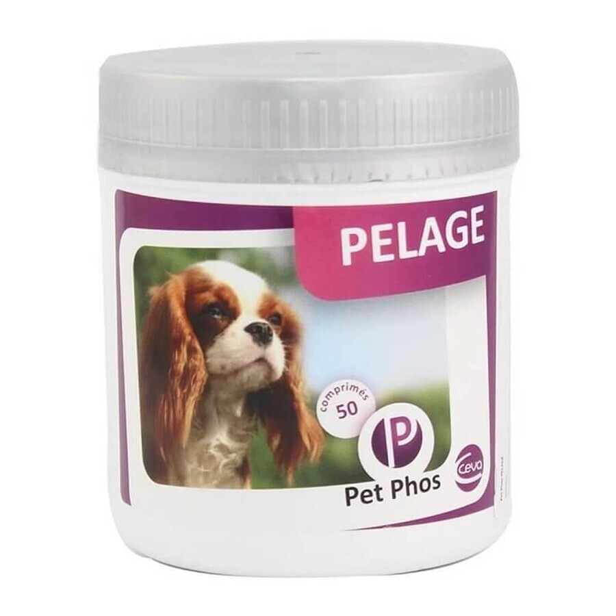 Suplemento vitamínico para la protección de la piel y la salud del pelaje en perros Pet Phos Canin Special Pelage, 50 comprimidos, Ceva Sante