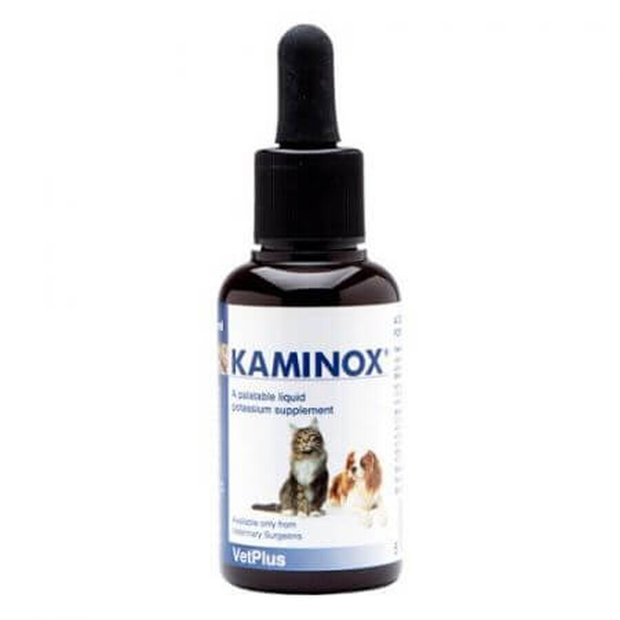 Suplemento nutracéutico palatable para gatos con insuficiencia renal Kaminox, 60 ml, VetPlus