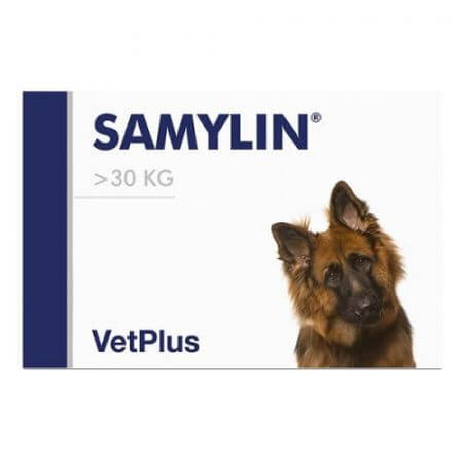 Suplemento nutracéutico para el mantenimiento de la salud hepática en perros de razas grandes &gt;30 kg Samylin Large Breed, 30 comprimidos, VetPlus