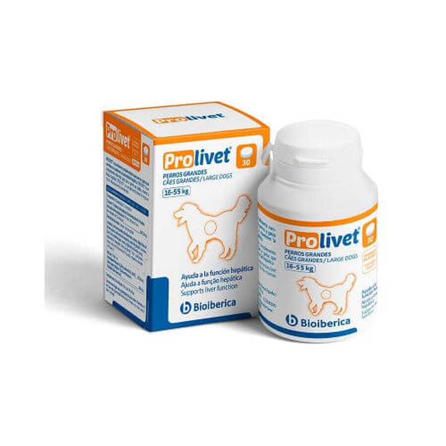 Nutritional supplement for supporting severely affected liver function in large dogs Prolivet Large Dogs, 30 tablets, Bioiberica