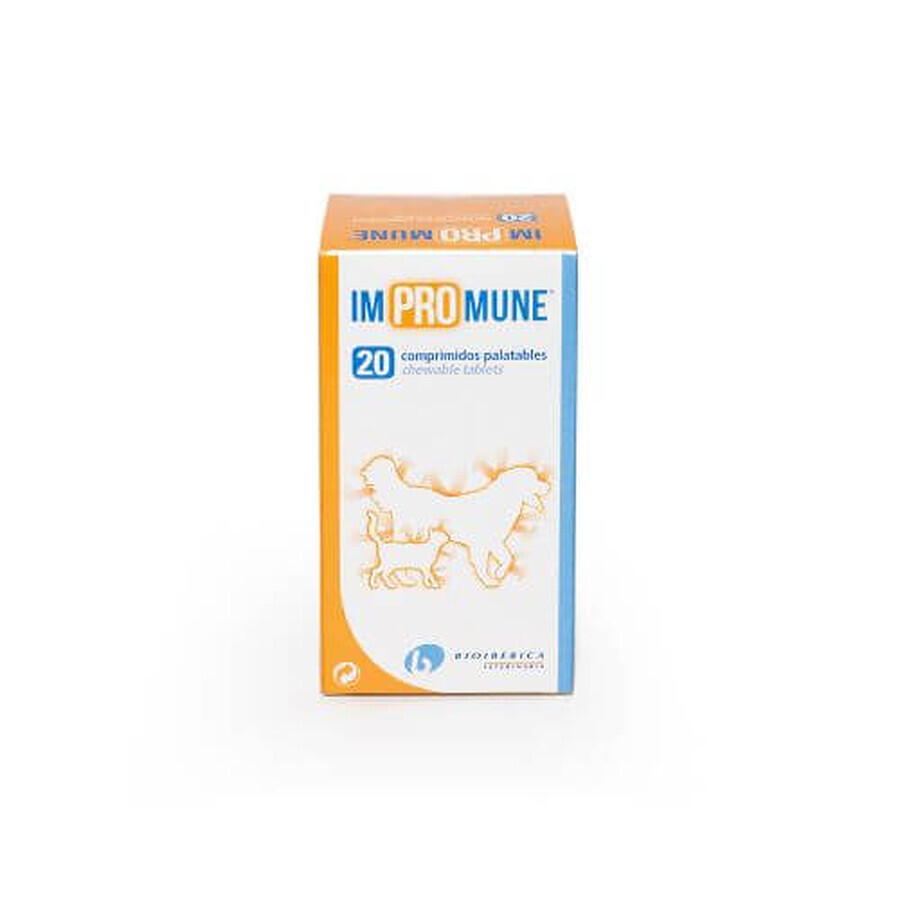 Nutritional supplement recommended for dogs and cats to optimize the immune response Impromune, 20 tablets, Bioiberica