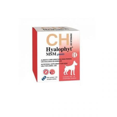 Nutritional supplement for joints, for large dogs Hyalophyt MSM Large, 120 tablets, Chemical Iberica