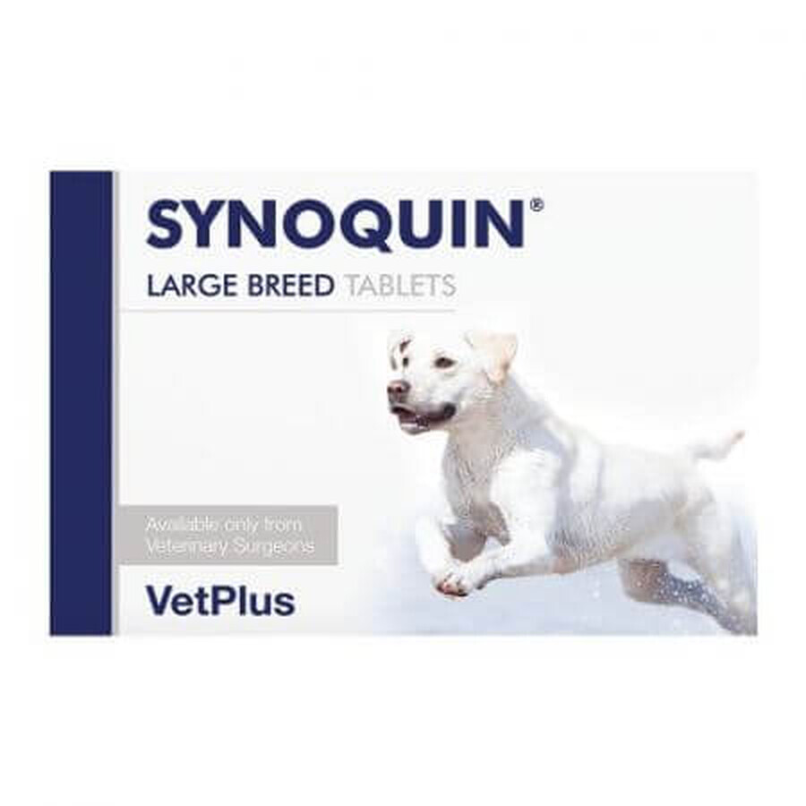 Synoquin EFA Razas Grandes, 30 comprimidos, 30 comprimidos, VetPlus