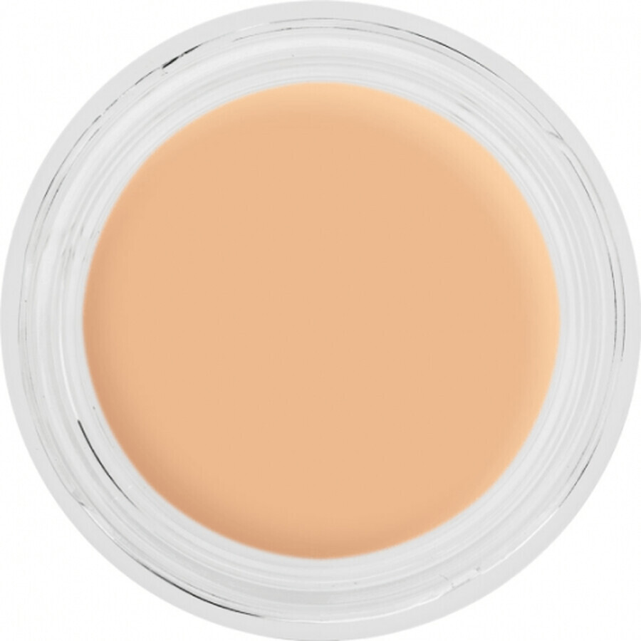 Kryolan Digitale Teint Crème Foundation O15 12g