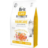 Brit Care GF Pelo Sano y Brillante Salmón y Pollo, 2 kg, Brit