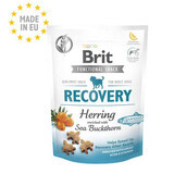 Snack para perros Recovery Arenque, 150 g, Brit