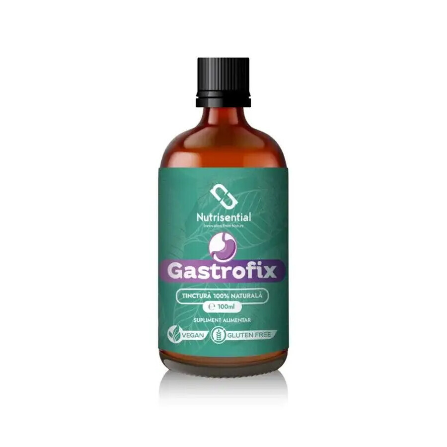 Tinctura pentru bolile sistemului digestiv, GastroFix x 100ml, Nutrisential