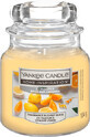 Vela perfumada Yankee Candle Citrus Spice, 104 g