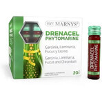 Drenacel Phytomarine cu Garcinia Cambogia + Fucus + Laminaria + Crom pentru Accelerarea Metabolismului și Normalizarea Proceselor Glandei Tiroide – Produs Vegan – 20 Fiole, Marnys