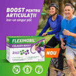 Fleximobil Collagen Boost, 30 bustine, Fiterman