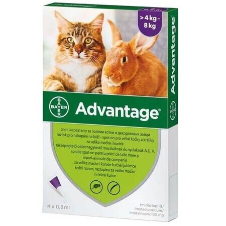 Antiparasitic solution for cutaneous application to cats and rabbits over 4 kg Advantage 80 Cat/Rabbit, 4 pipettes, Bayer Vet OTC