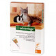 Soluci&#243;n antiparasitaria para aplicaci&#243;n cut&#225;nea en gatos y conejos de menos de 4 kg Advantage 40 Cat/Rabbit, 4 pipetas, Bayer Vet OTC