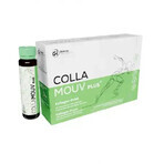 Collamouv Plus, 14 fiale x 25 ml, Deutsche Heilmittel GmbH