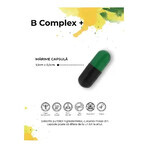 B Complex+, 30 cápsulas, Biome