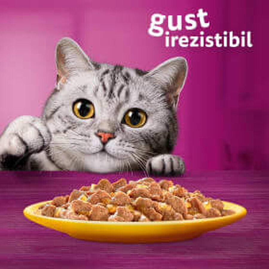 Whiskas Alimento umido per gatti con pollo, 85 g