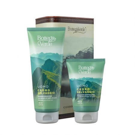 Set uomo Shampoo e bagnoschiuma 200 ml + Dopobarba Cedro Selvaggio 75 ml, Bottega Verde