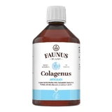 Colagenus para las articulaciones, 500 ml, Faunus