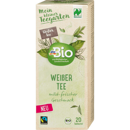 DmBio Weißer Tee, 20 Portionsbeutel