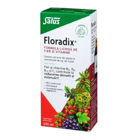 Floradix® fórmula líquida de hierro y vitaminas, 250 ml, Salus