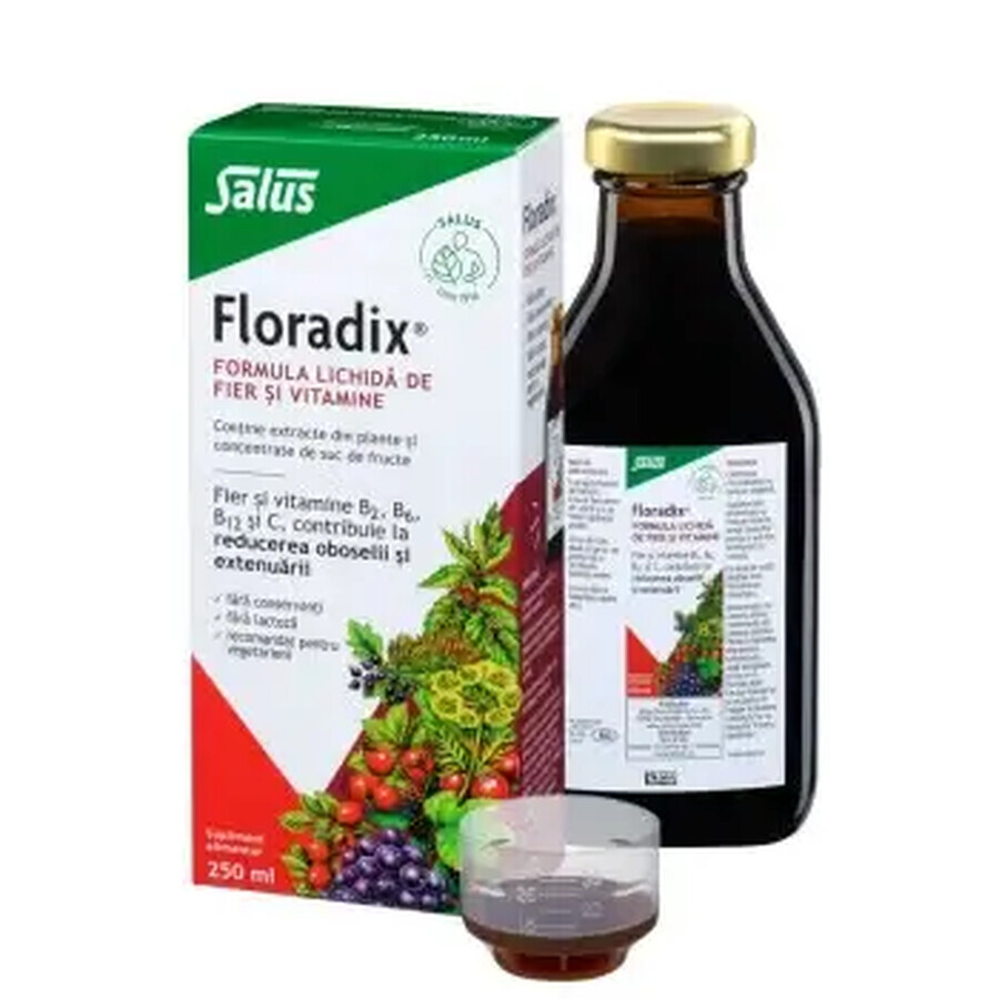 Formula lichida de fier si vitamine Floradix®, 250 ml, Salus