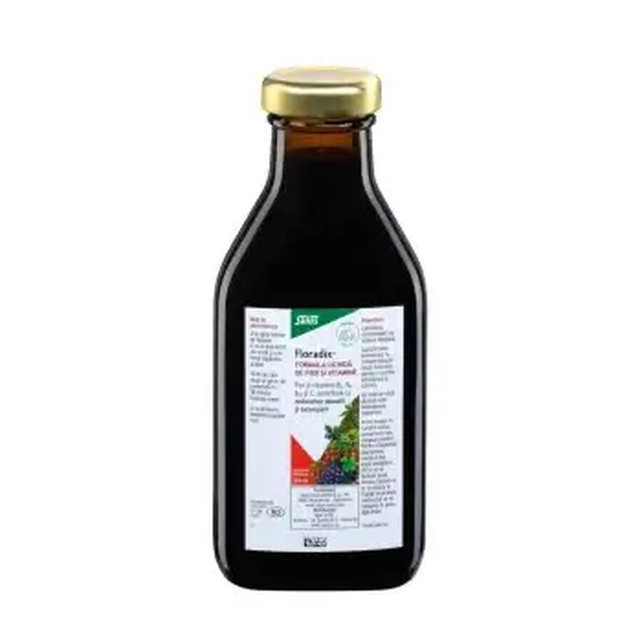 Floradix flüssige Eisen- und Vitaminformel, 250 ml, Salus