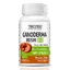 Ganoderma Reishi Bio, 60 cápsulas, Zenyth