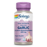 Ajo (Garlic) 500mg Solaray, 60 cápsulas, Secom