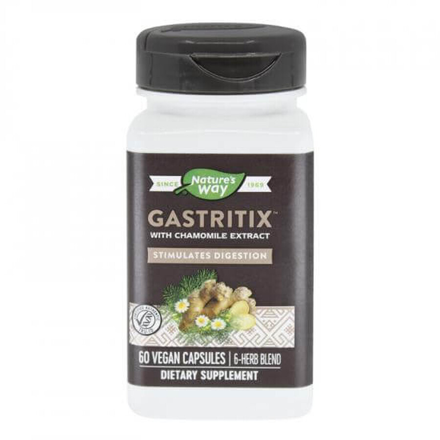 Gastritix Nature's Way, 60 cápsulas, Secom