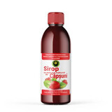 Sirope de fresa con azúcar, 50 ml, Hypericum