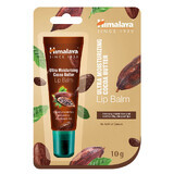 Baume à lèvres ultra hydratant au beurre de cacao, 10 g, Himalaya