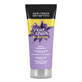 Champ&#250; Violet Crush con pigmentos violetas para cabellos rubios, 75 ml, John Frieda